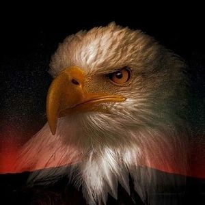 Meet your Posher, Keith